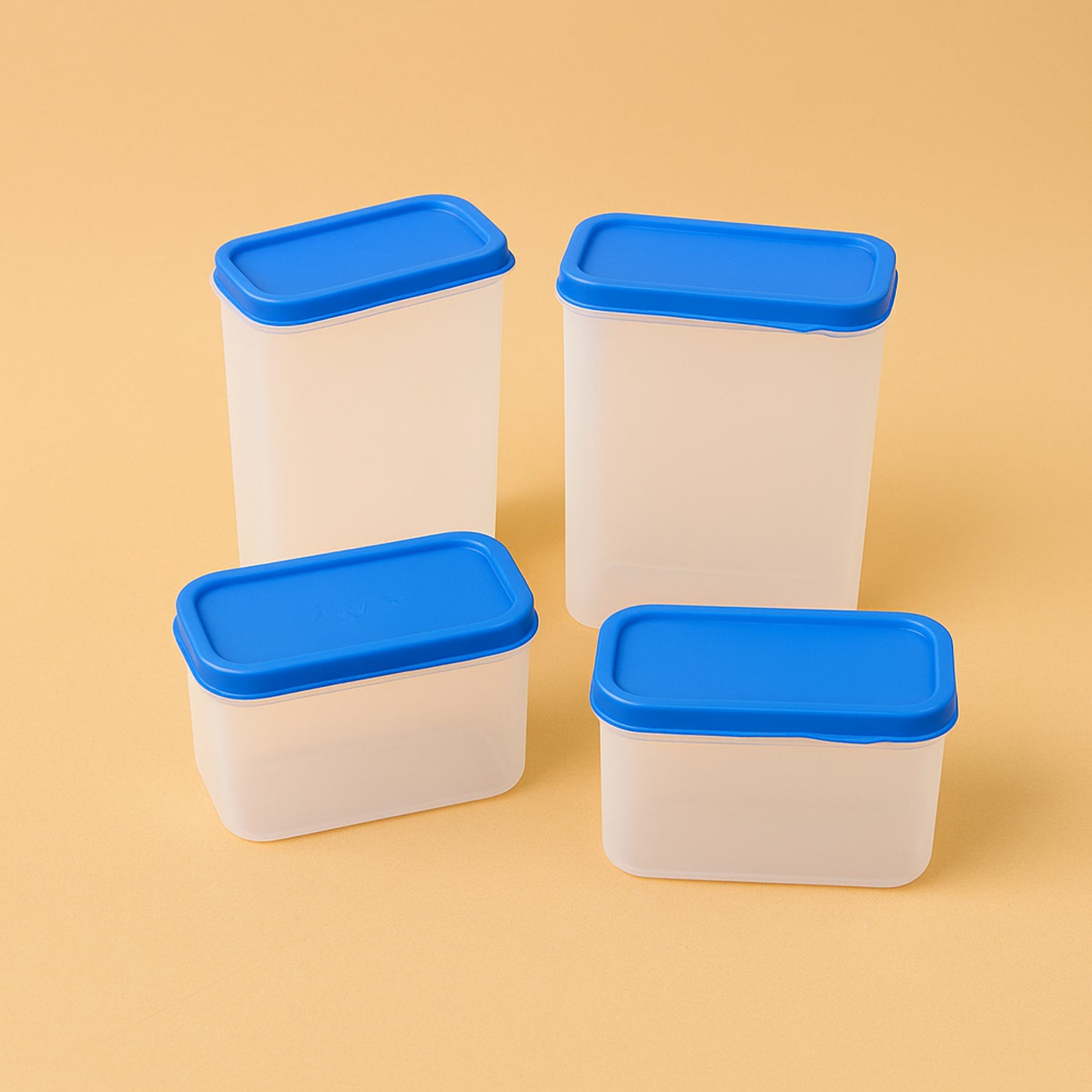 Apex Glory Plastic Storage Container Box Set (4 Pc)